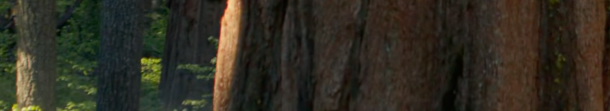 Banner teste